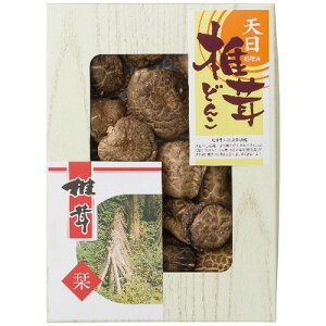 yMtgÊz͕Y BYVǂ񂱒ő TS-20(A4)