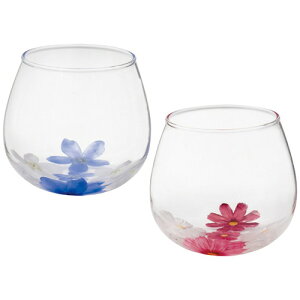 yMtgÊzt[ OXyAA FY-3003A(A5)