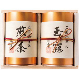 yEÊz l FM-100(A5)