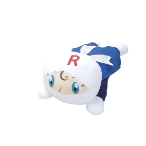 yMtgÊzAp}  Ri[pij WTY2504600R