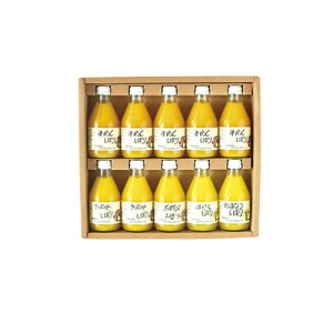 yEÊzɓ_ a̎Ruɓ_v100%sAW[X180ml×10{ ITO-50710G-5(B4)