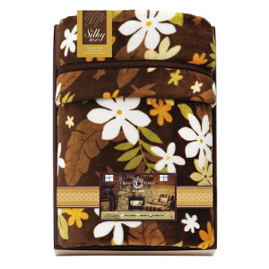 yMtgÊzNX[h ACfA&If _炩ѕz 2450(A3)