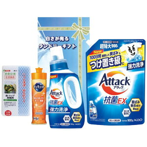 �y�M�t�g��E�̂��������z���������郉���h���[�M�t�g AX-30C(B5)