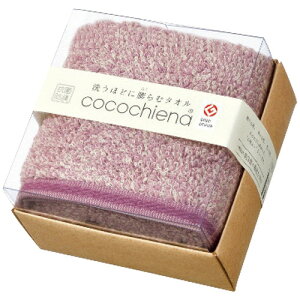 �y�M�t�g��E�̂��������z�R�R�`�G�i �t�F�C�X�^�I�� CE1022(A5)