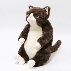 【送料・包装無料】Cuddly 金之助 キジトラ ソメゴローとゆかいな仲間たち 猫ぬいぐるみ 940