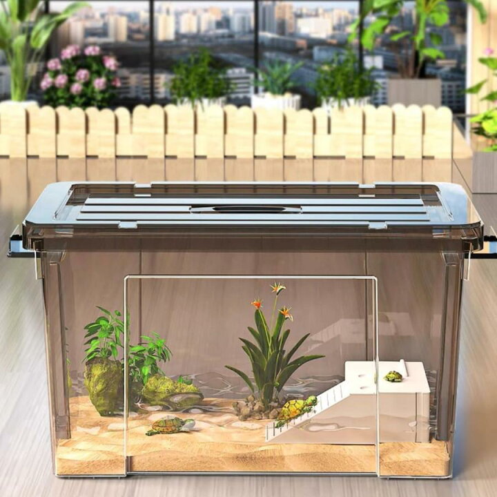 楽天市場】亀飼育用水槽 亀水槽 大型プラスチック水槽 大型カメ飼育 