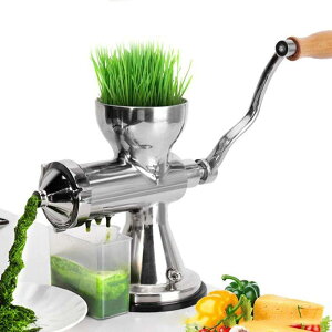 nhW[T[ ʏ`ڂ@ @ 蓮 ᑬ 304XeX|ގ ʕ//Z/WW[Ȃ ƒp (TNVJbvŒ)