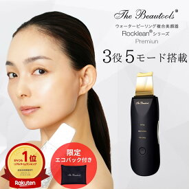 [プレゼント付き特別セット] ウォーターピーリング 日本製Rocklean(ロックリーン) 美顔器 超音波×微細振動 Shine/Disco (シャイン/ディスコ) The Beautools 毛穴 角栓 鼻 黒ずみ イオン導入 プラチナ メッキ加工 TBR04S/TBR03D/TBR02G