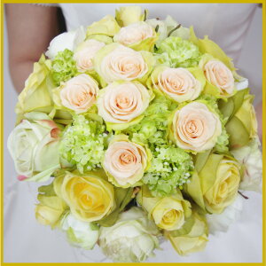 vU[uht[+ vUCG[u[P u[gjA wbhhX  EFfBO VNt[ A[gt[  ʐ^BEF uC_ u[PgX