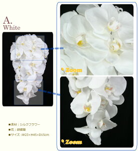 Ӓ LXP[h u[P   EFfBO /sN u[gjA wbhhX @VNt[ hX a A[gt[ ʐ^BEF uC_ u[PgX