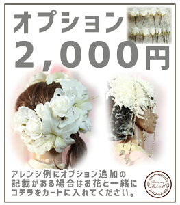 ERT[WIvV2,000~yyΉz  p[eB[ l  EFfBO uC_ u[gjA wbhhX VNt[ A[gt[ ʐ^BEF