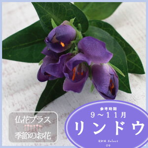 hE  d  y5,000~ȏ㑗z