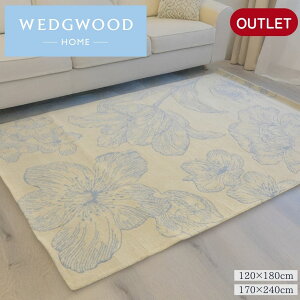 �s����������P�ő�15�{�t �y�A�E�g���b�g�i�z WEDGWOOD �E�F�b�W�E�b�h ���O 120×180cm 170×240cm VIBRANCE �o�C�u�����X �^�t�g �ԕ� �t�����[��