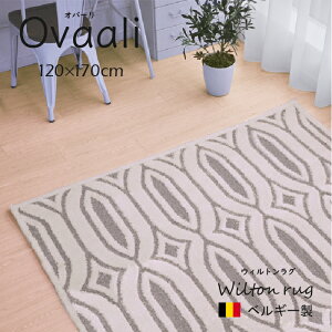 y݌Ɍz xM[ EBgDJ[ybg O 120×170cm O g͗l  g[ zbgJ[ybgΉ AO  V l炵 rO