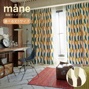 h[vJ[e 135cm 178cm 185cm 200cm 220cm nJ[e ՌJ[e Ռ2 CG[ x[W k eLX^C fUC  킢 􂦂 EHbVu rO q 