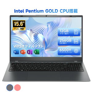�y�}���\��P5�{��5%�N�[�|���z�V�i �m�[�g�p�\�R�� Windows 11 15.6�C���`���C�h�t�� �t��HD office�t�� Intel Pentium GOLD 6500Y 12GB �������ő� 256GB SSD�ő� USB3.2 HDMI Bluetooth5.0 WEB�J���� ���{��L�[�{�[�h 