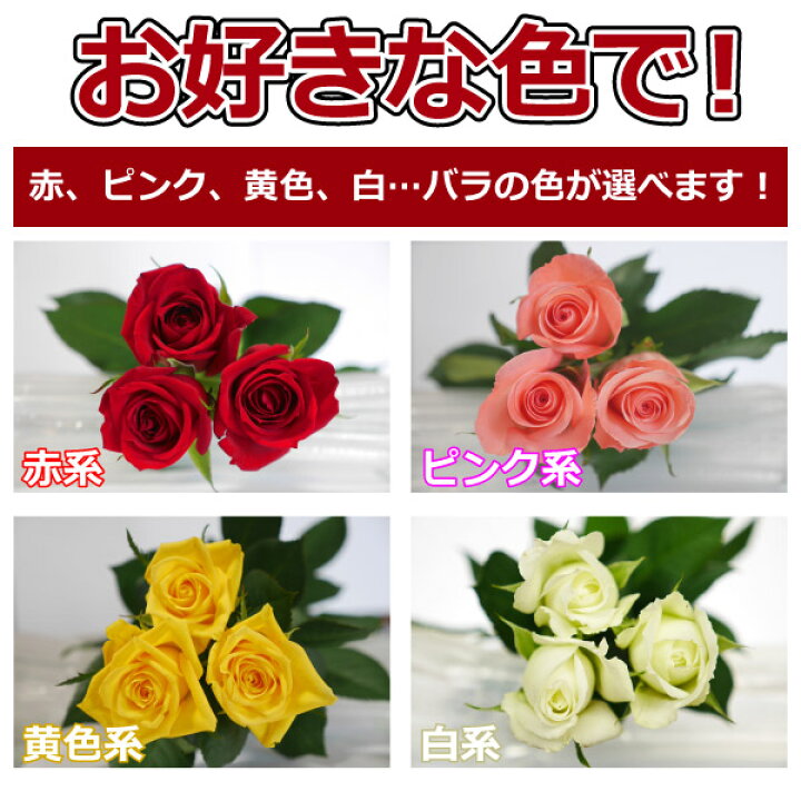 楽天市場 バラ花束 本 3980円 100本まで追加1本150円 本数指定選べる4色 赤バラ ピンク 黄色 白バラ 誕生日 記念日 お祝い 結婚記念日 送別会 30本 40本 還暦 60本 プロポーズ 敬老の日 プレゼント サプライズかすみ草追加 生花 グリーンロード