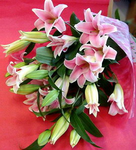 生花 ゆりの人気商品 通販 価格比較 価格 Com