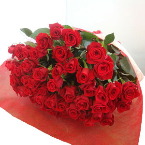 o ԑ 50{ j } җj 60{  JWATCY40cm KN v|[Y 108{ 100{ [g Ԃ΂ v[g  a TvCY Ǝ a LO Mtg