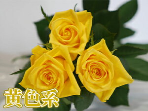 oԑ 20{{w 1{200~ 108{܂ v[g v|[Y LO Iׂ4F ԃo sN F o j LO ʉ 30{ a җ 60{ 100{TvCY ݑ