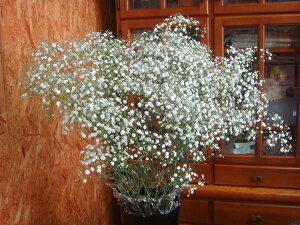 ԑɓY邩ݑǉsv̓`FbNOi{i̒͏o܂j