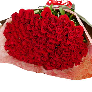 o ԑ 100{ v|[Y KN a LO i   [g JWATCY40cm t[ Mtg ΂ TvCY uC_ EFfBO Ԃo