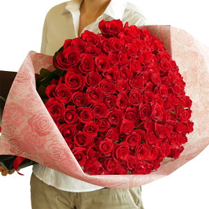 o ԑ 108{ v|[Y i   OTCY50cm [g TvCY LO uC_ j KN 