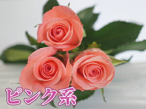 バラ花束 20本から本数指定 1本200円 108本まで プレゼント プロポーズ 記念日 選べる4色 赤バラ ピンク 黄色 白バラ お祝い 結婚記念日 送別会 30本 誕生日 還暦 60本 100本サプライズ かすみ草追