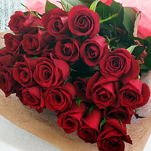 バラ 赤 25本 花束 お祝 歓送迎会 還暦祝い 60本 結婚式 ロングサイズ50cm プロポーズ108本 100本 薔薇 深紅 赤いばら プレゼント 生花 誕生日 サプライズ 卒業式 誕生日プレゼント 記念日 ギフト