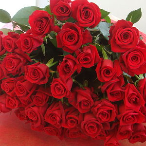 o  50{ ԑ j } җj 60{  OTCY50cm v|[Y108{ 100{ KN [g Ԃ΂ v[g  a TvCY Ǝ a LO Mtg KN̉ԑ