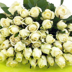 o  50{ ԑ j } җj 60{  v|[Y108{ 100{ KN  zCg   S ΂ v[g  a TvCY Ǝ a LO Mtg K