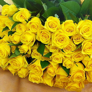 o F 50{ ԑ j } җj 60{  v|[Y108{ 100{ KN r^~J[ F̂΂ P Ď  a TvCY Ǝ a v[g o LO Mt