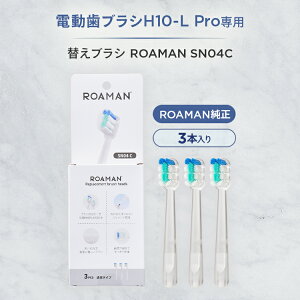 �d�����u���VH10-L Pro��p �ւ��u���V ROAMAN SN04C ���[�}�� �d�����u���V �ւ��u���V 3�{����