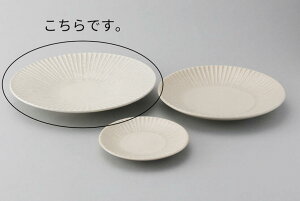 yˏ/Ƃ́zyM/MzSOGI 8.5J[pX^ێM/zCg