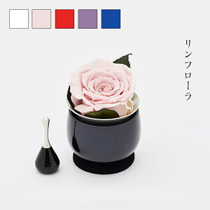 t[  AMOROSA [Y Y {  }V Rv Ăї 茳{_ ʔ  ~j 킢