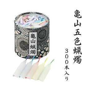 TRܐFXC 300{10RăJ}[\N ފ ފ 낤