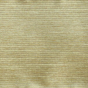 dV}bgygCCgzh}bg STCYic10cm×24cmjy[։z d }bg d h}bg  h΃}bg 茳{  d