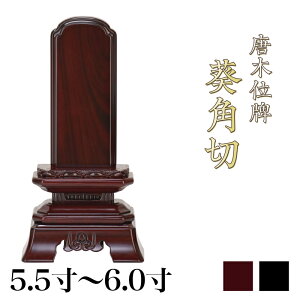 ؈ʔv d d up(݂)v5.5E6.0/ؐʔv hʔv hʔv    d 