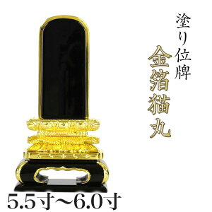 ʔv L 5.5E6.0 {ʔv ʔv h ʔv    d ʔv 