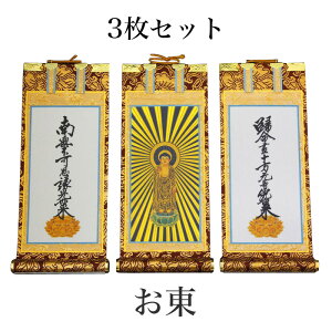 yX[p[SALEI10%OFFz| 菑| u3Zbgv y^@ Jh  20[24cm]  | ʔ ̔