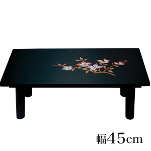 45cm Ԑ hyފݗpɂzo  O oT  V~ ~ ᱗~  V @ d   o e[u