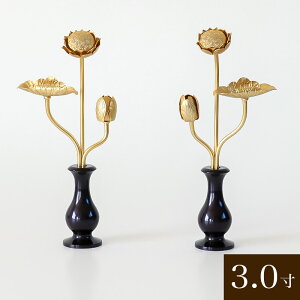 ^J Fԁiԗĕtj1΁y3z16.5cm  d 