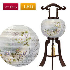 yX[p[SALEI12%OFFz~ led R[hX LED ~񓔃uEF No.3431 (10 s R[hX LED Od)/~傤 ~  1  ~ Mtg V~  ~  