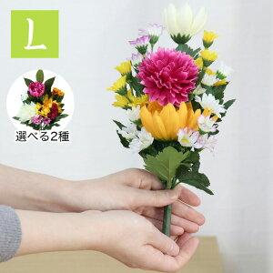 (L) ԁi1jIׂ2 27`30cm d     ފ  d  ͂Ȃ~ ފ