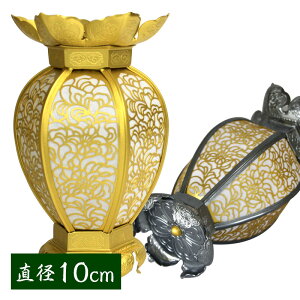 ݓ(݂蓔U) A~ Ėڌ^ ybLorCuVdグz a10cm 1 UiƂ낤j 