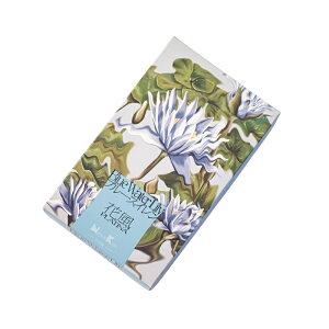  ԕ u[XC ƒp VipXpCV[ȍ