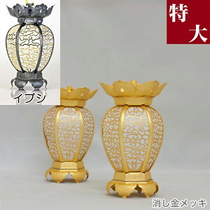 ݓ(݂蓔U) ^J _ybLroCuVdグz a 12cm 1 UiƂ낤j ĕd  