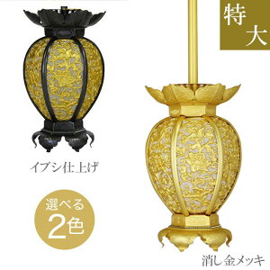 ݓ(݂蓔U) n _^ybLorCuVdグz a12.5cm 1 UiƂ낤j 
