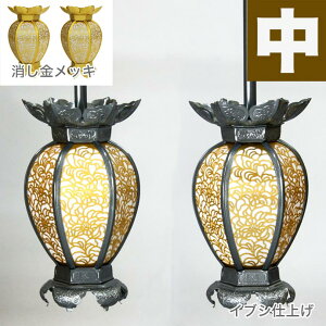 ݓ(݂蓔U) A~ Ėڌ^ ybLorCuVdグz a9cm 1 UiƂ낤j 