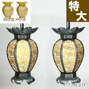 ݓ(݂蓔U) A~ Ėڌ^ ybLorCuVdグz a12cm 1 UiƂ낤j 